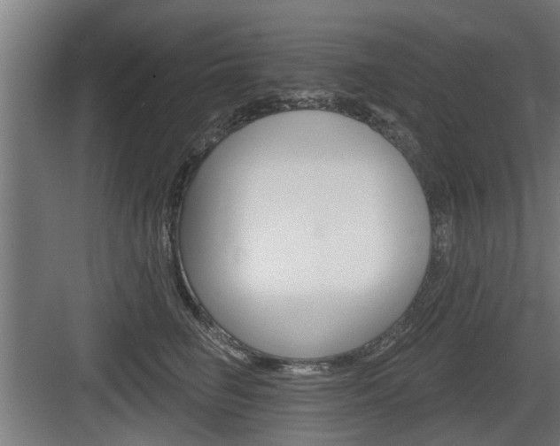 X0000083610662200702120725