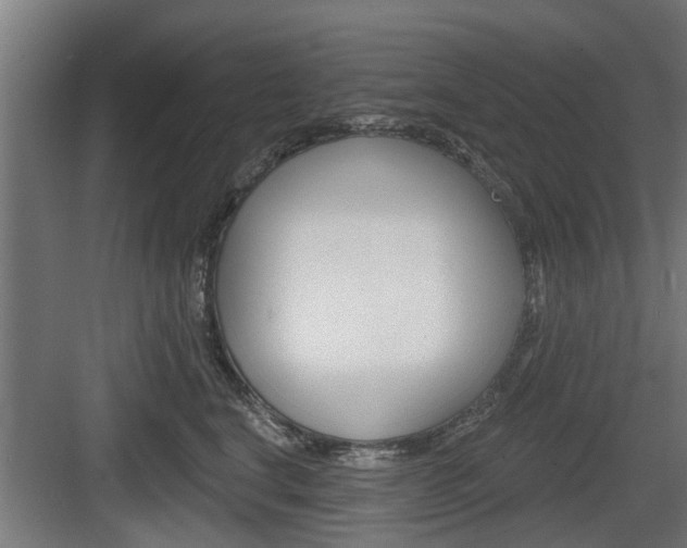 X0000083610664200702120725