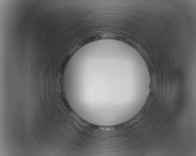 X0000083610667200702120725