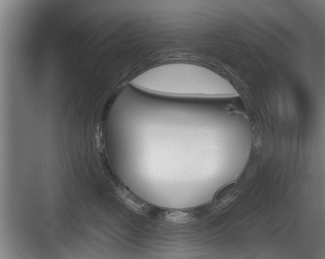 X0000083610669200702120725