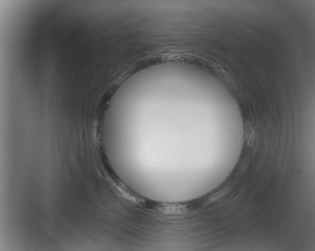 X0000083610670200702120725