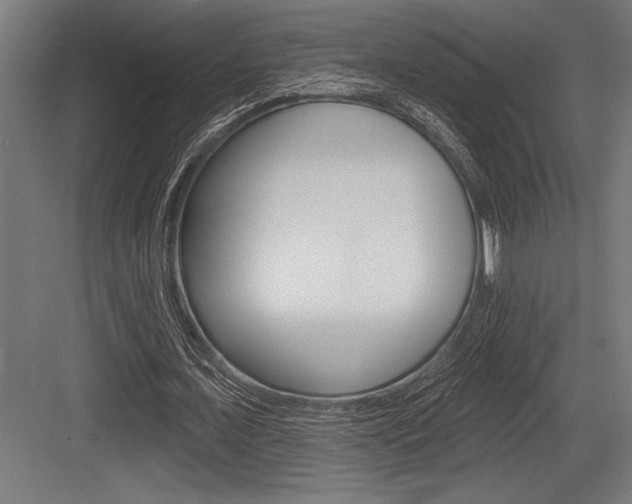 X0000083610675200702120724