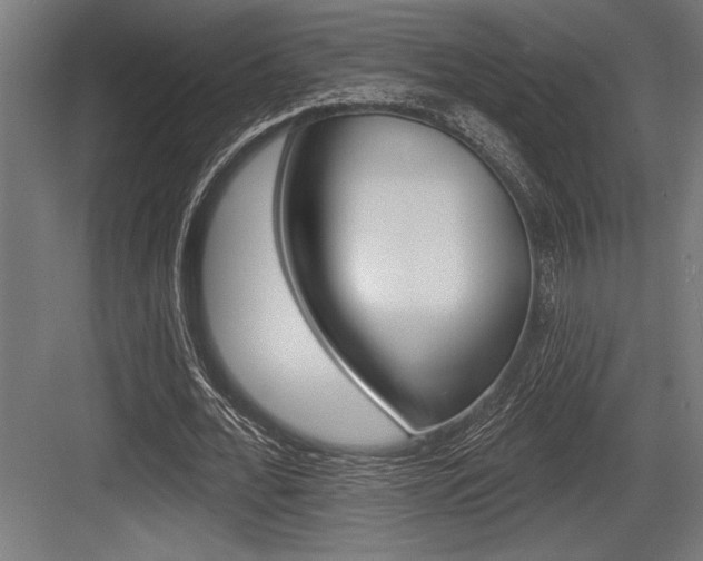 X0000083610676200702120724