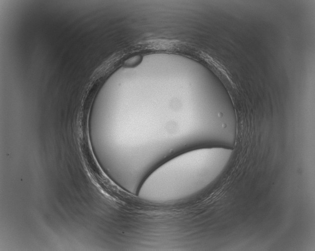 X0000083610682200702120724