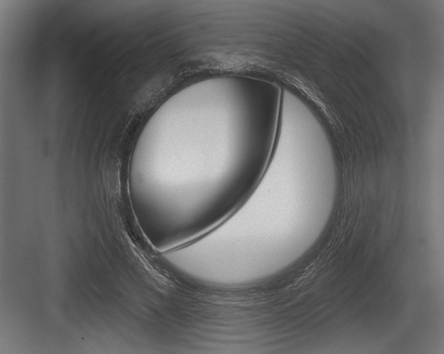 X0000083610685200702120724