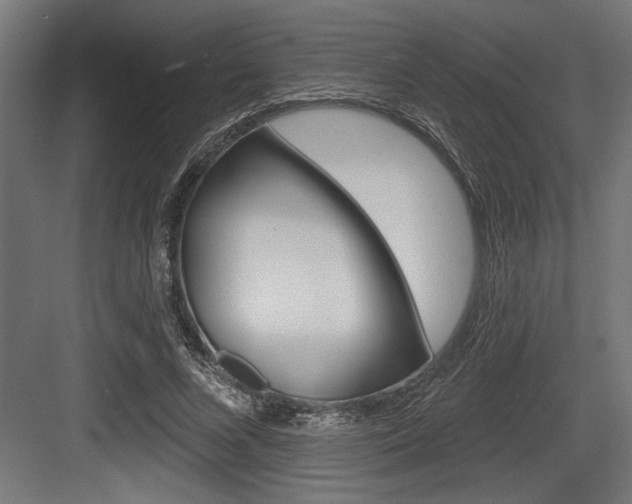 X0000083610688200702120724