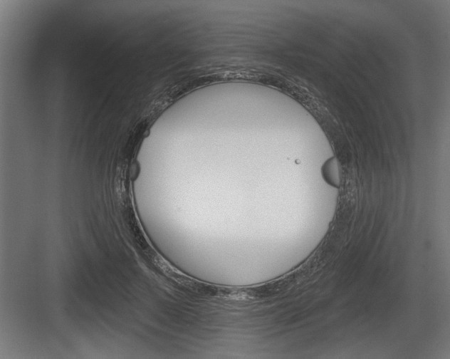 X0000083610695200702120724