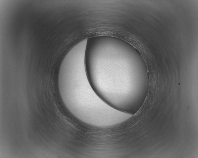 X0000083610696200702120724