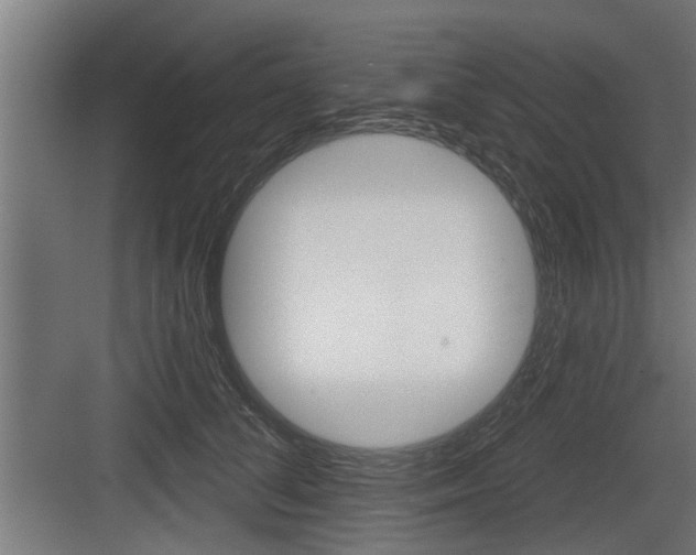 X0000083610708200702120724