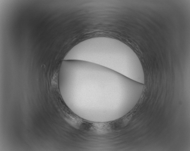 X0000083610713200702120724