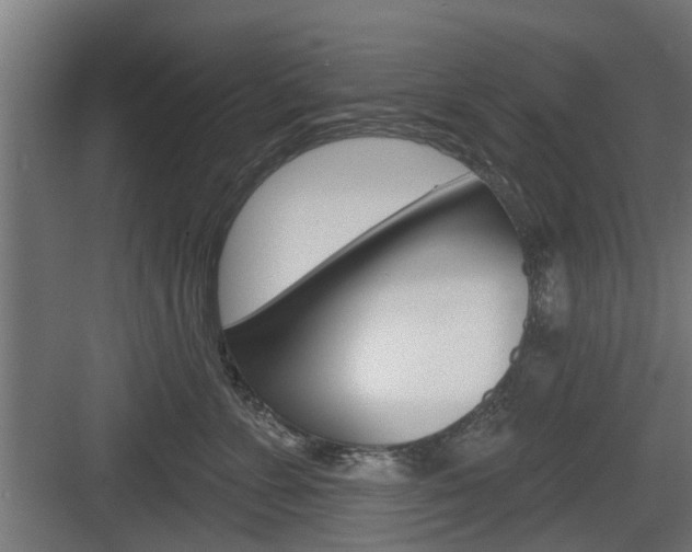 X0000083610715200702120723