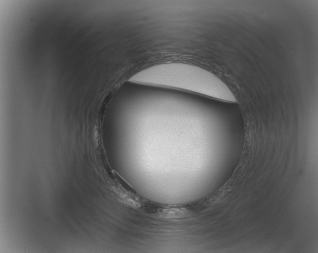 X0000083610716200702120723