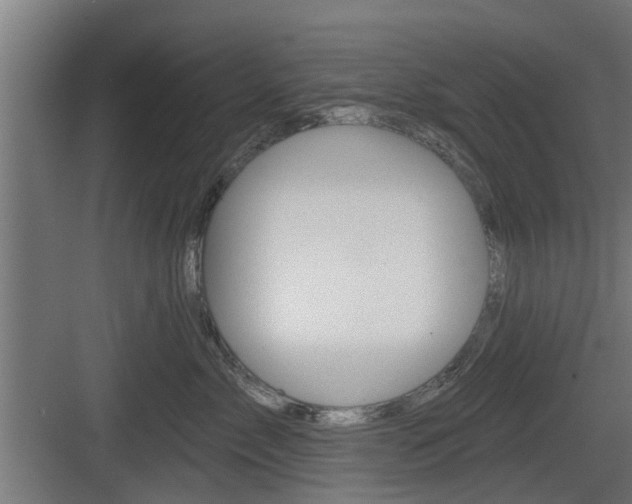 X0000083610717200702120723