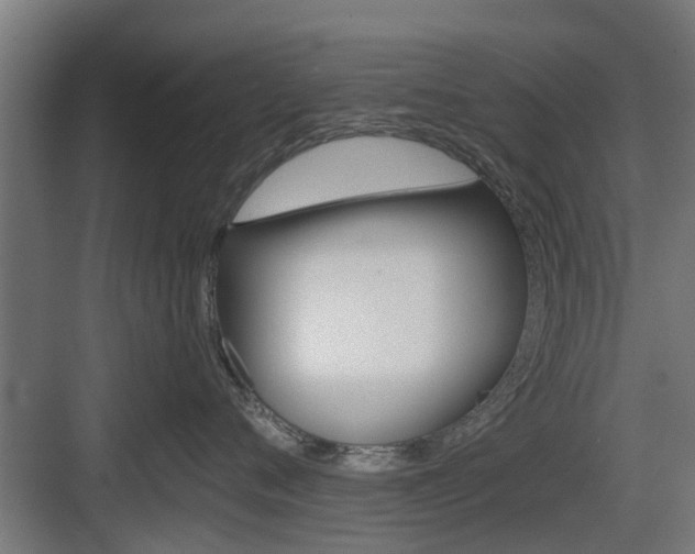 X0000083610720200702120723