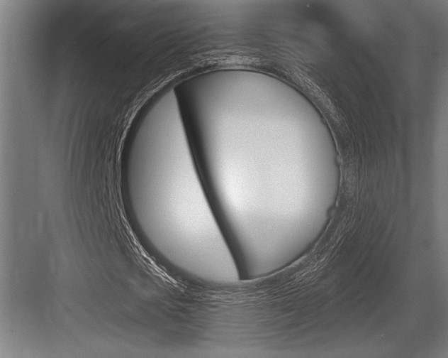 X0000083610721200702120723
