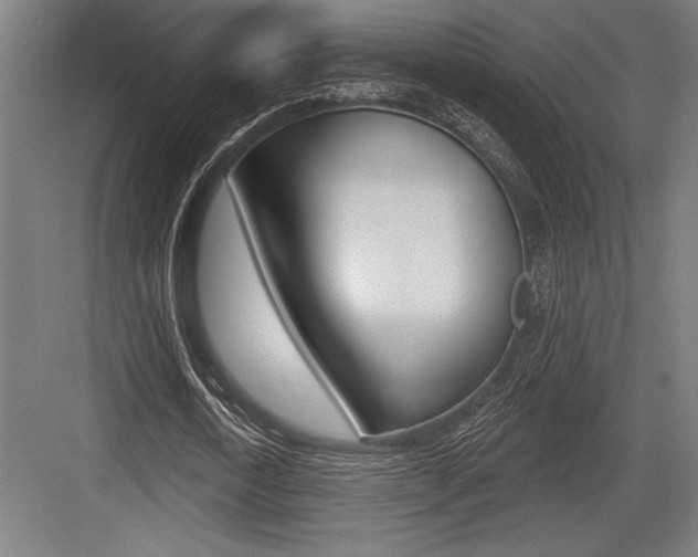 X0000083610722200702120723