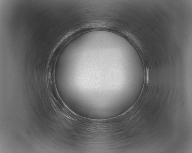X0000083610723200702120723