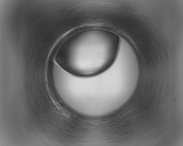 X0000083610724200702120723