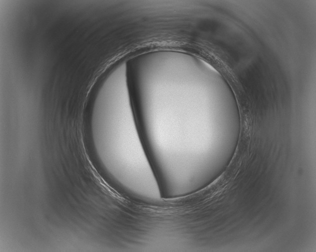 X0000083610725200702120723