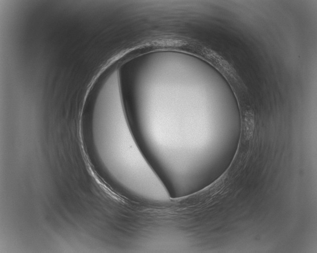 X0000083610726200702120723