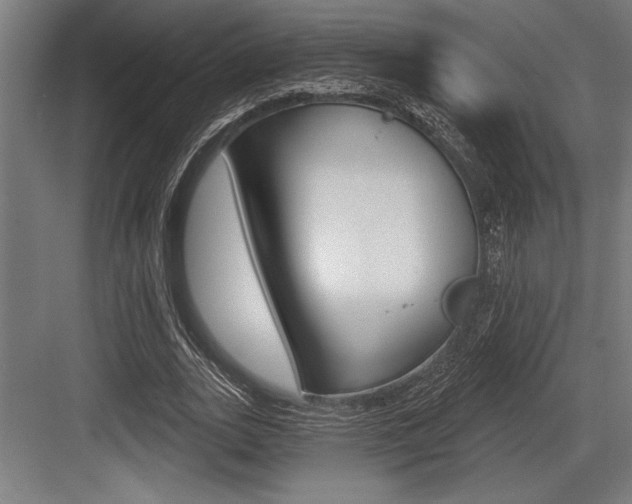 X0000083610727200702120723