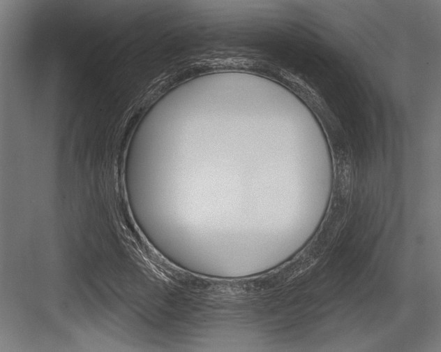 X0000083610729200702120723