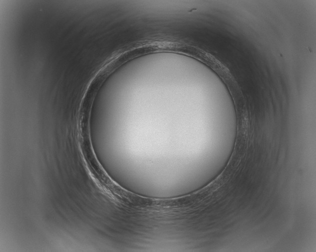 X0000083610730200702120723