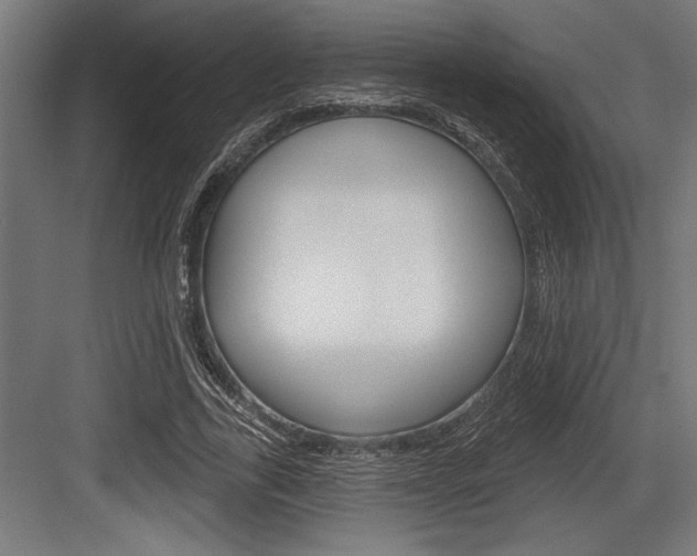 X0000083610731200702120723