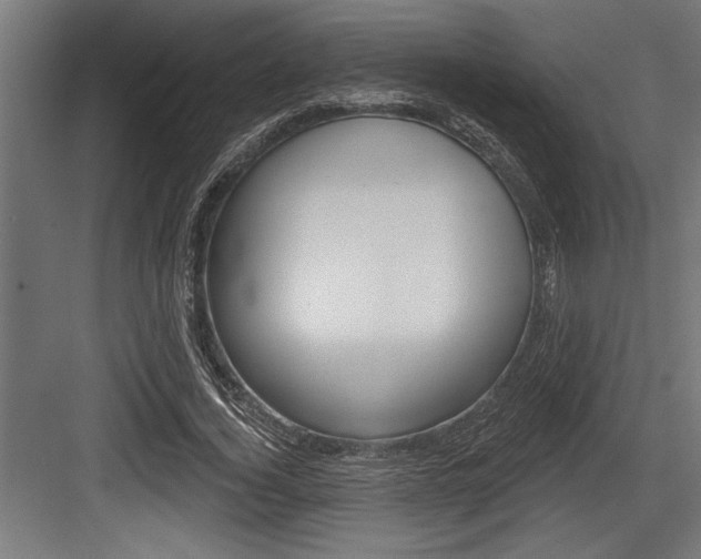 X0000083610732200702120723