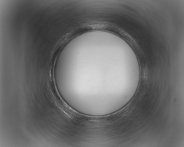 X0000083610733200702120723