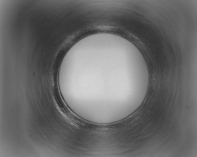 X0000083610734200702120723
