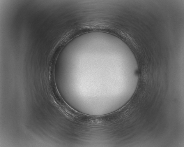 X0000083610735200702120723