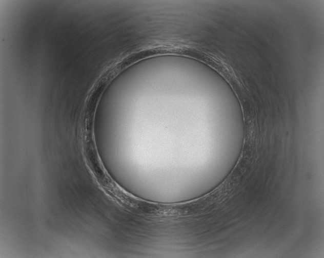 X0000083610736200702120723