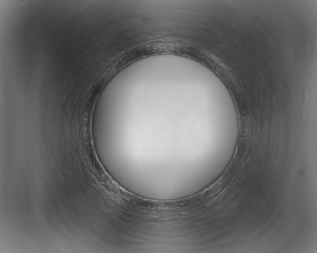 X0000083610737200702120723