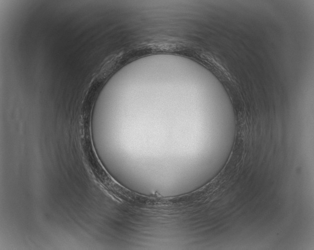 X0000083610738200702120723