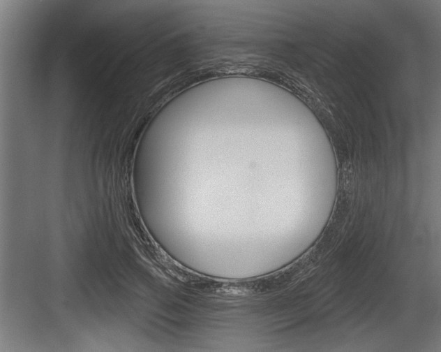 X0000083610741200702120723