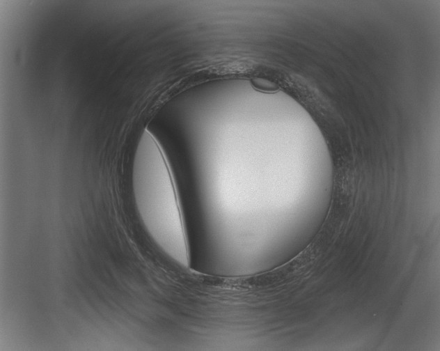 X0000083610743200702120723
