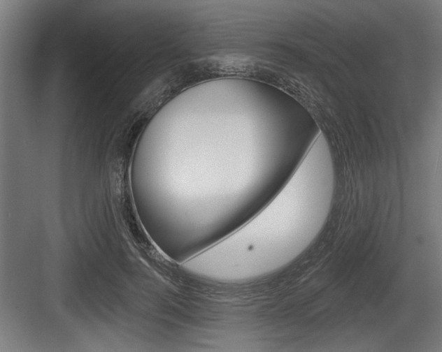 X0000083610744200702120723
