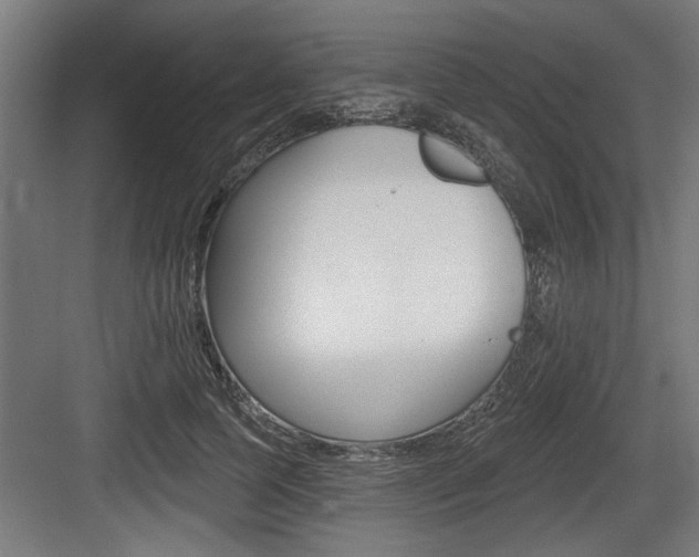 X0000083610745200702120723