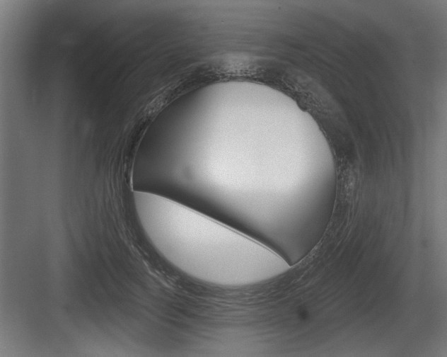 X0000083610746200702120723