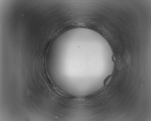 X0000083610747200702120723