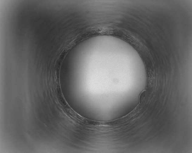 X0000083610748200702120723