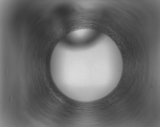 X0000083610750200702120723