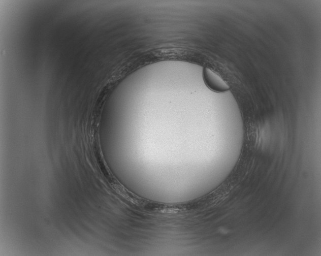 X0000083610751200702120723