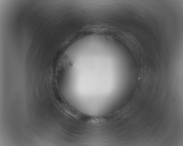 X0000083610752200702120723