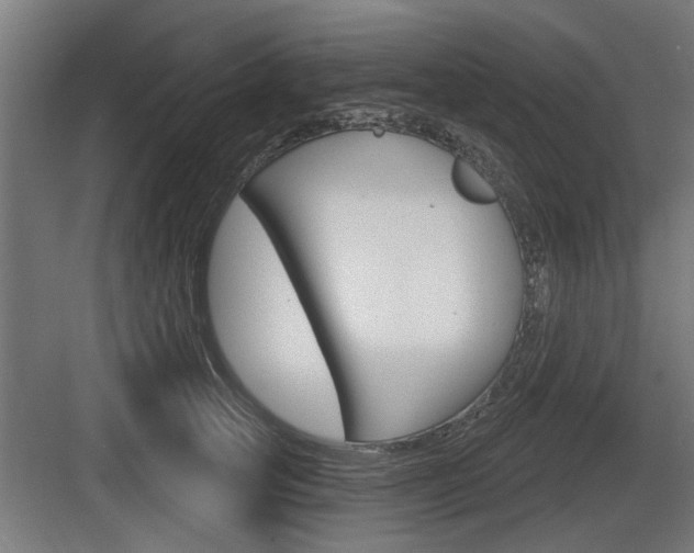 X0000083610753200702120723