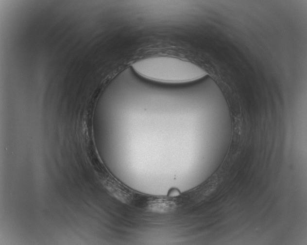 X0000083610754200702120723