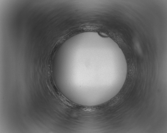 X0000083610755200702120723