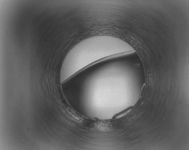 X0000083610756200702120723