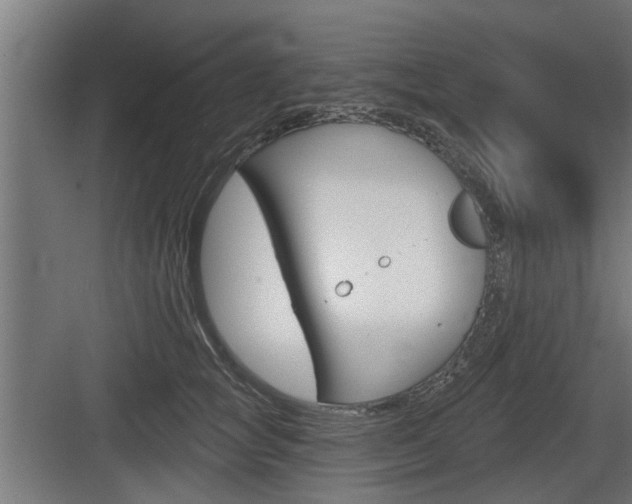 X0000083610757200702120723